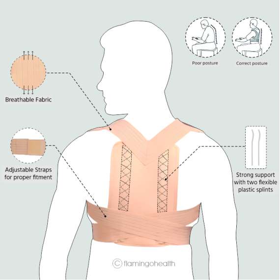 Buy Flamingo Posture Brace in [storefront]