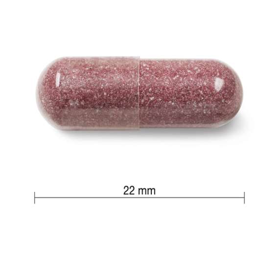 Buy Jamieson 500mg Cranberry Complex 60 Capsules Supplement in [storefront]