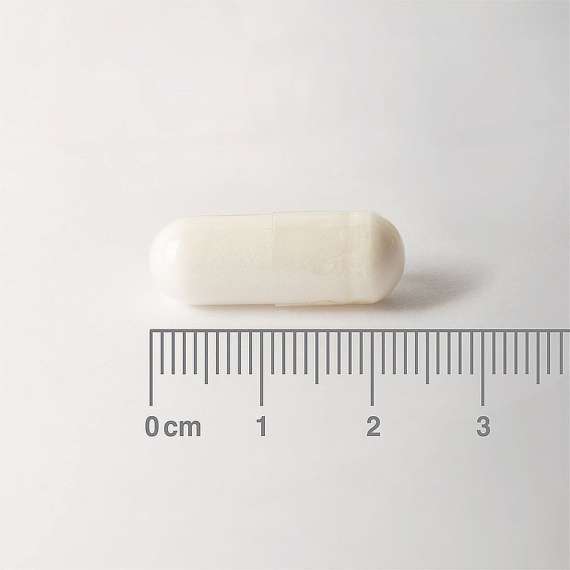 Buy Lamberts 500mg L Carnitine 60 Capsules Supplement in Kenya
