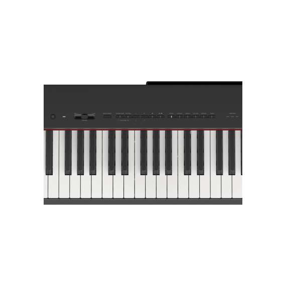 Buy Yamaha P-225 88-Key Portable Electric Digital Piano in [storefront]