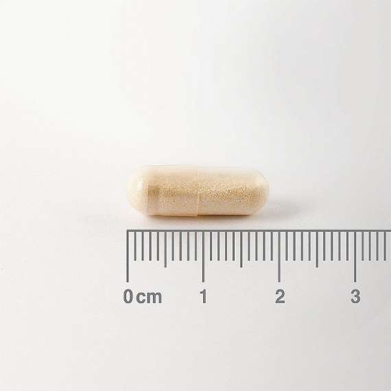 Buy Lamberts Digestizyme 100 Capsules Supplement in [storefront]