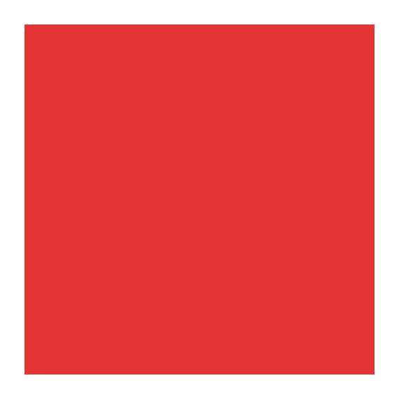 Buy Visico 1.35 X10M RED Paper Backgound in [storefront]