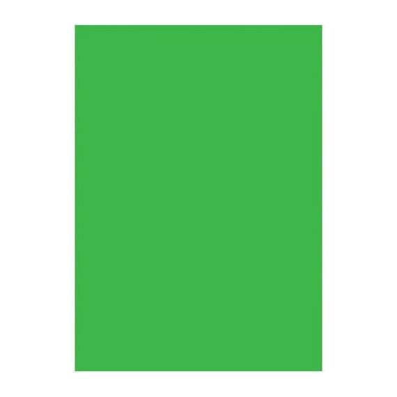 Buy Visico 1.35 X10M Green Paper Backgound in [storefront]