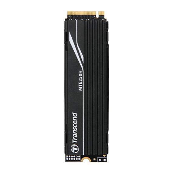 Buy Transcend TS1TMTE250H  1TB M.2 Internal SSD with Heat Sink in [storefront]