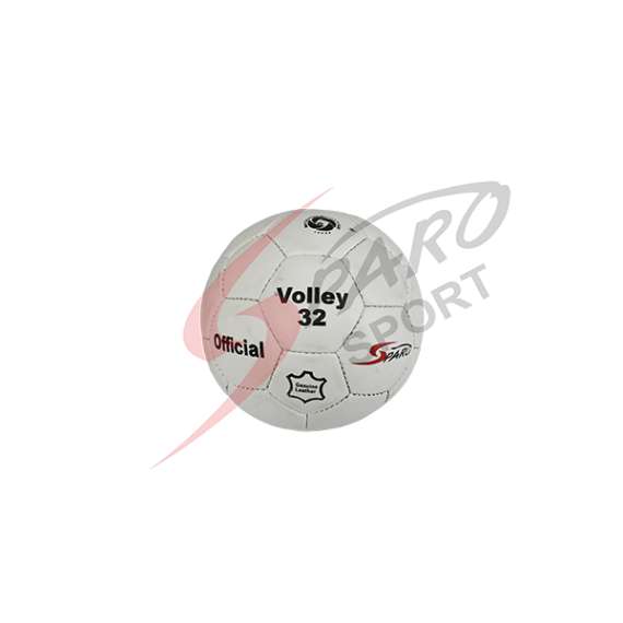 Buy Sparo Local No.9000 Volleyball in [storefront]