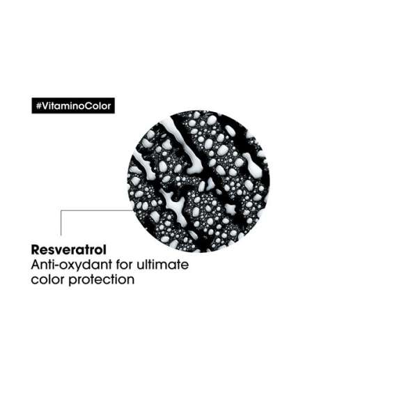 Buy Loreal 190ml Vitamino Color Leave in Treatment in [storefront]