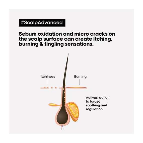 Buy Loreal 300ml Scalp Advanced Dermo Regulator Shampoo in [storefront]