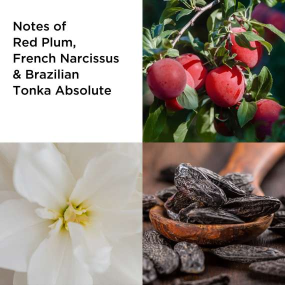 Buy Elizabeth Arden Untold Absolu 100ml Edp Women Perfume in [storefront]