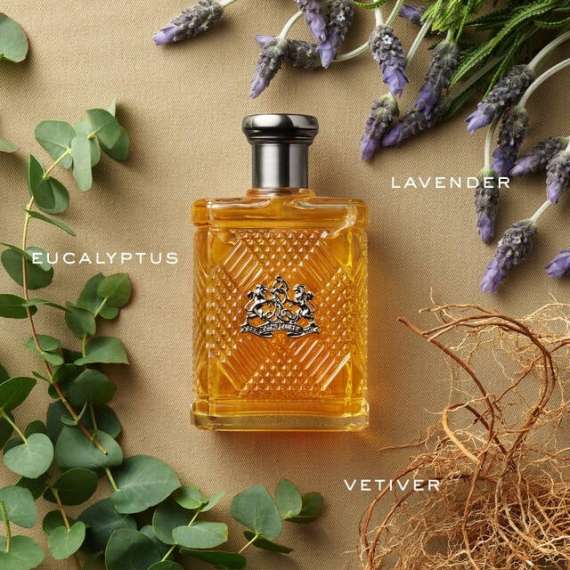 Buy Ralph Lauren Safari for Men 125ml Edt Perfume in [storefront]
