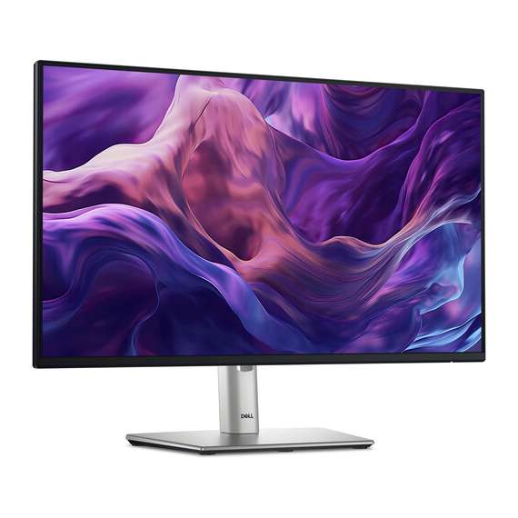 Buy Dell P2425HE 23.8 Inch FHD Monitor in [storefront]