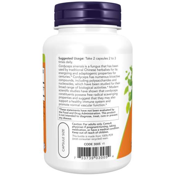 Buy Now 750mg Cordyceps 90Capsules Supplement in [storefront]