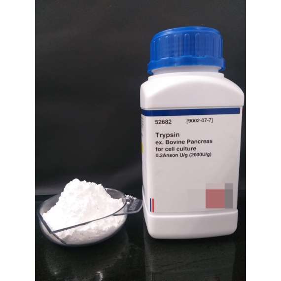 Buy Griffchem 100G Trypsin Lab Reagent in [storefront]