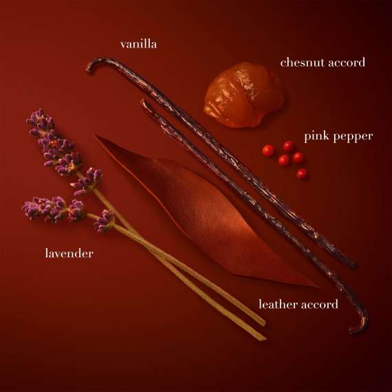 Buy Emporio Armani Stronger With You Parfum 100ml Men Perfume in [storefront]