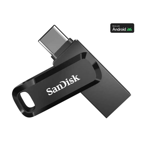 Buy SanDisk Ultra Dual Drive Go Type C 256GB Flash Disk in [storefront]