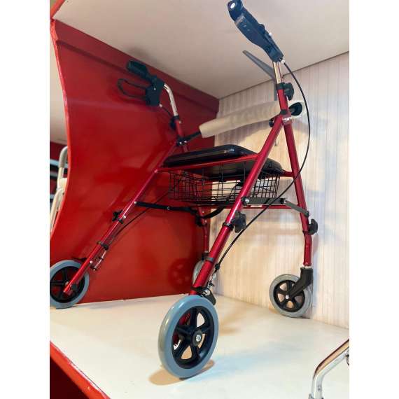Buy Dayang DY49144 Lightweight Rollator in [storefront]