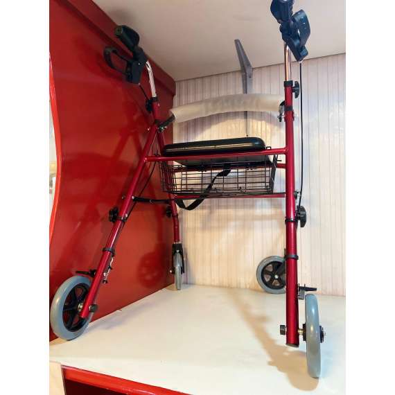 Buy Dayang DY49144 Lightweight Rollator in [storefront]