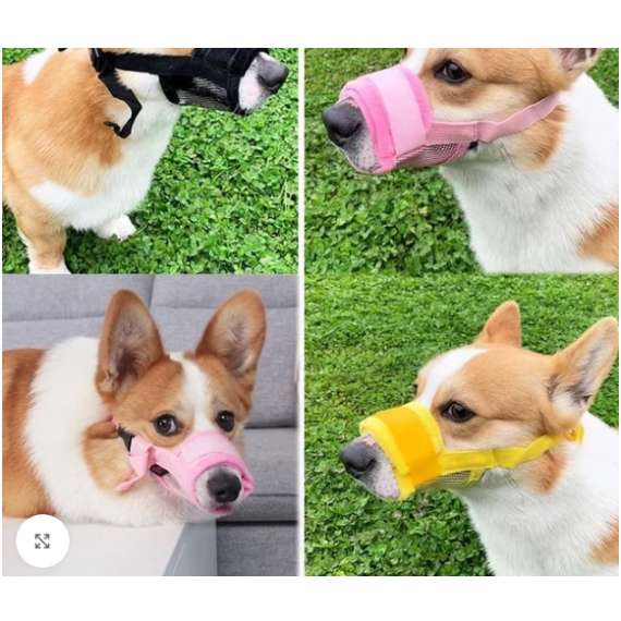 Buy Dog Muzzle in Kenya