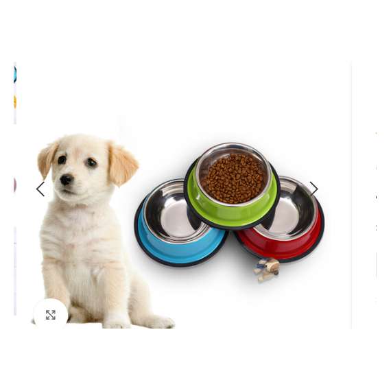 Buy Pet-Icon Stainless Steel Dog & Cat  Medium size Bowl in [storefront]