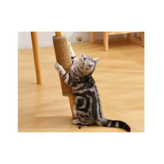 Buy Catco  60*90cm Cat Scratcher Mat in [storefront]