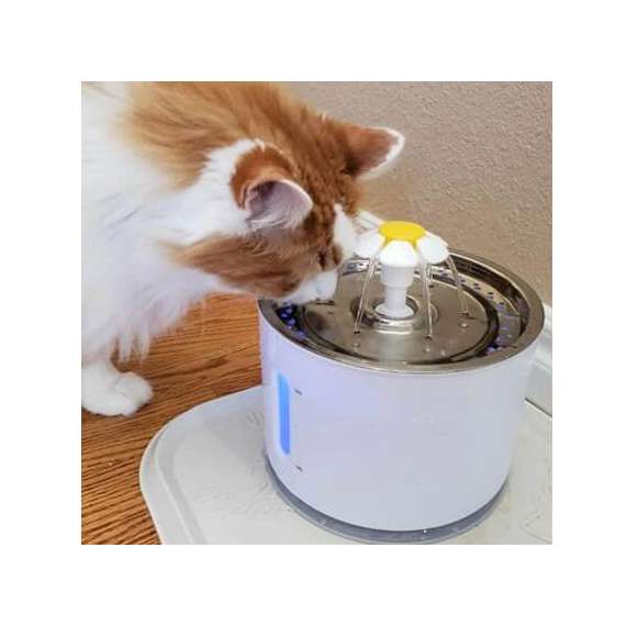 Buy Automatic Cat Water Fountain in [storefront]
