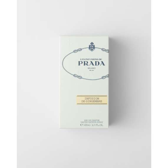 Buy Padra Infusion Gingembre 100ml Edp Perfume in [storefront]