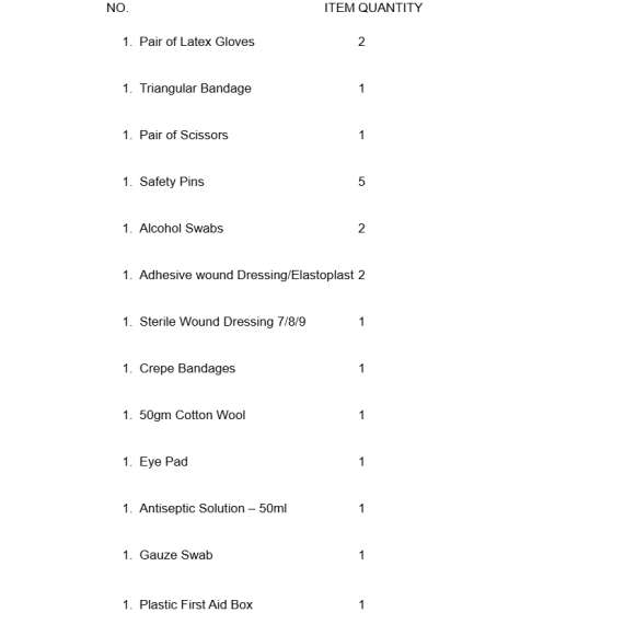 Buy Generic Red Small First Aid Kit -No 2 in [storefront]