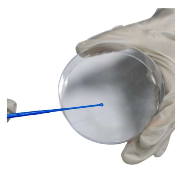 Buy Biologix 25Pack 1ul Disposable Inoculation Loops in [storefront]