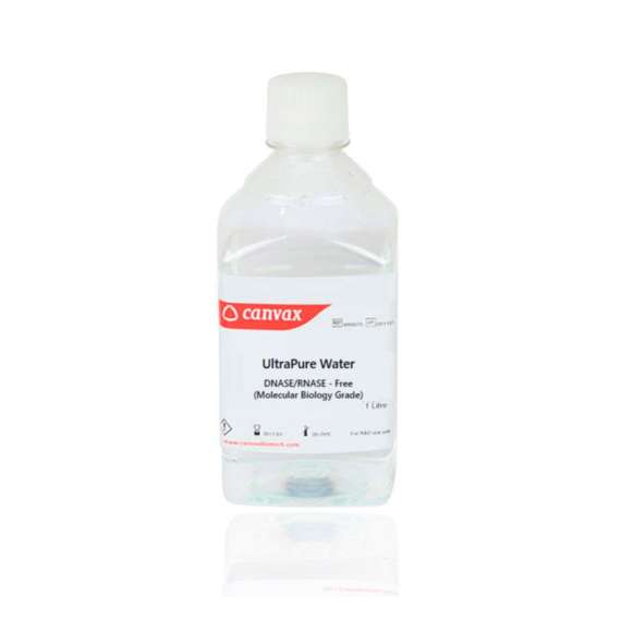 Buy Canvax 500ml DNASE RNASE Free Ultra Pure Water in Kenya