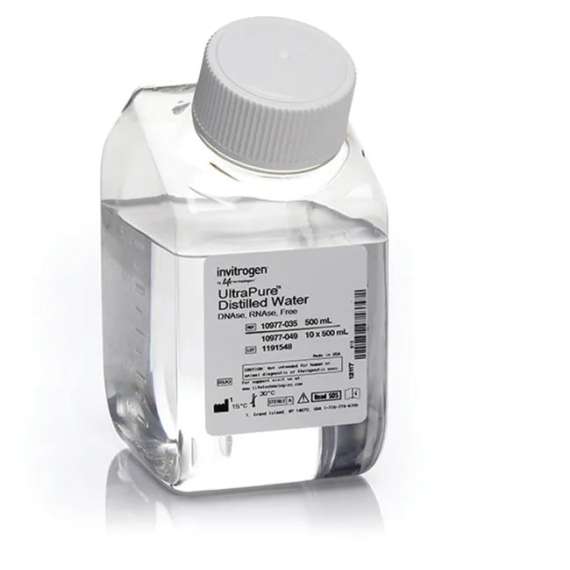 Buy Invitrogen 500ml DNAse RNAse Free UltraPure Distilled Water in Kenya