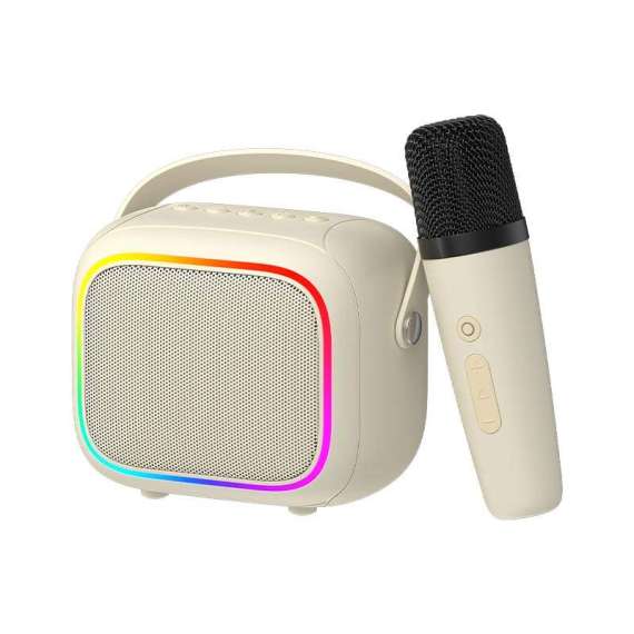 Buy Havit SK818BT portable wireless karaoke speaker in Kenya
