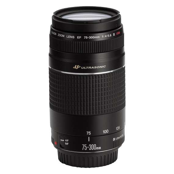 Buy Canon EF 75-300mm f/4-5.6 III USM Lens in [storefront]