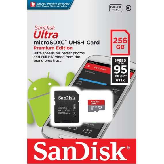 Buy Sandisk 256GB Class 10 Micro SD Card in [storefront]