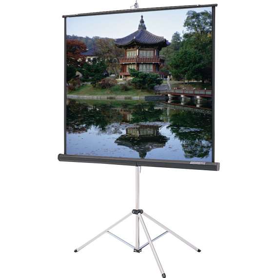 Buy Generic 240 cm X 240 cmTripod Portable Projector Screen in [storefront]