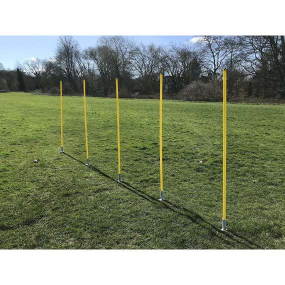 Buy Slalom Poles 12Pack With Stainless Steel Ground Spikes in [storefront]