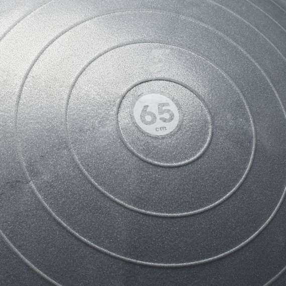 Buy Reebok 65cm Stability Gym Ball in [storefront]