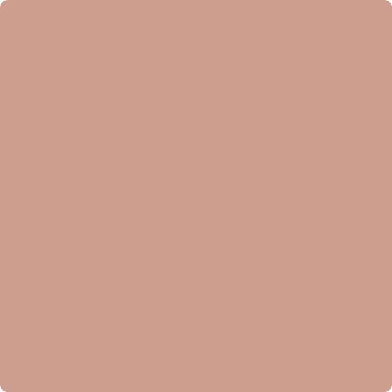 Buy Visico Solid Color Background Cocoa 3 x 5 m Backdrop in [storefront]
