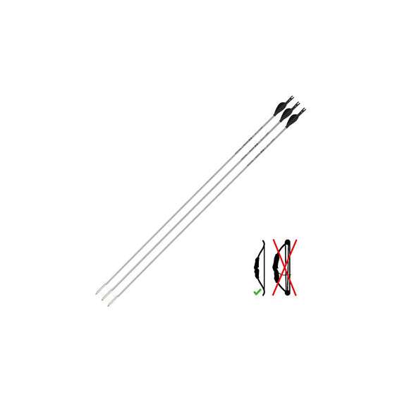 Buy Geologic Discovery 100 Archery Arrows in [storefront]