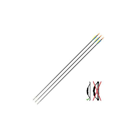 Buy Geologic Discovery 300 Carbon Archery Arrows in [storefront]