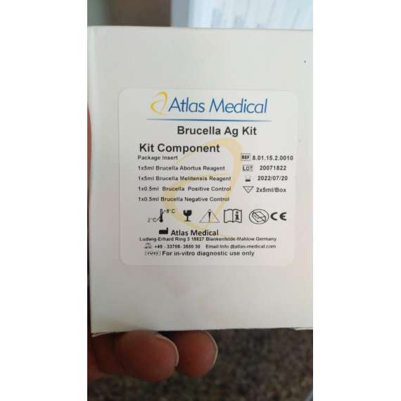 Buy Brucella Ag Kit in [storefront]