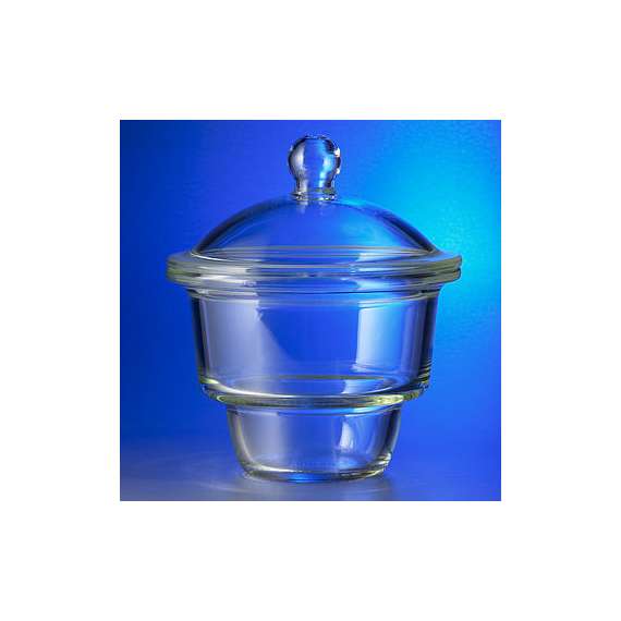 Buy Generic 10inch Dessicator with Knob in [storefront]