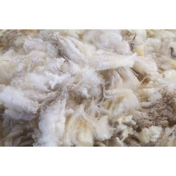 Buy CDH 250G Asbestos Wool in [storefront]