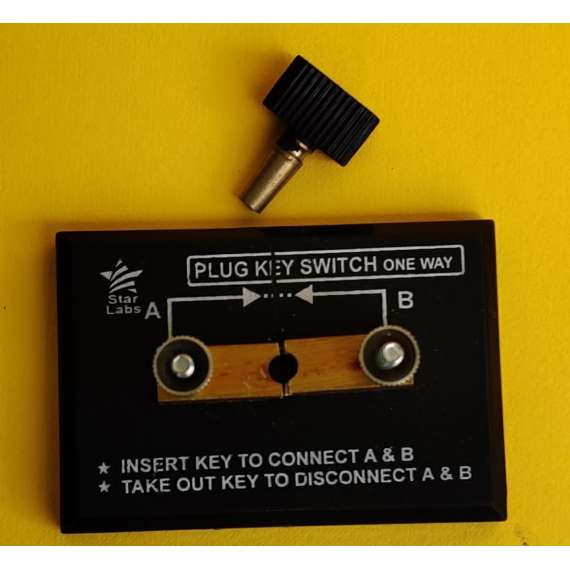 Buy Plug Key-One Way in [storefront]