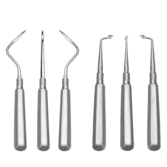 Buy Root Elevator in [storefront]