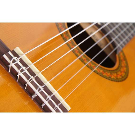Buy Yamaha CX40 Classical Electro Acoustic Guitar in [storefront]