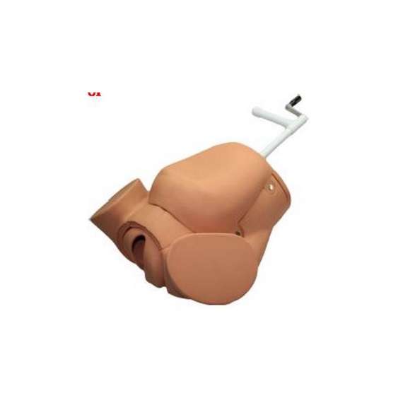Buy Advanced Childbirth Simulator Model in [storefront]