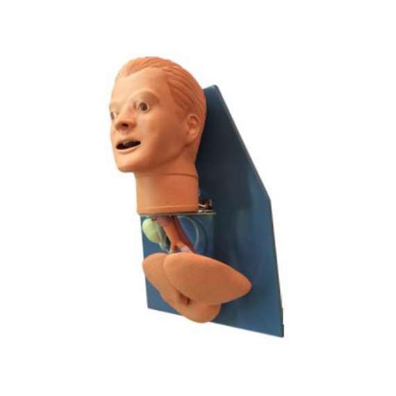 Buy Intubation Model in [storefront]