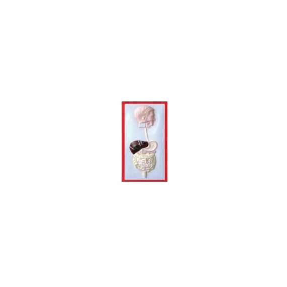Buy Plastic Human Excretory Size Model in [storefront]