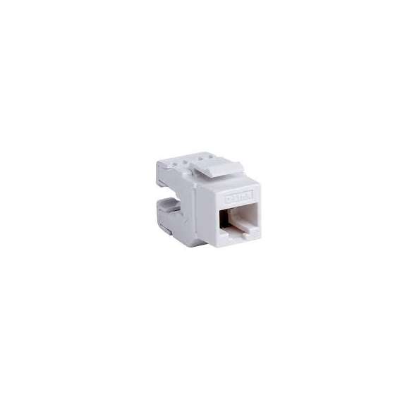 Buy D-Link NKJ-C6WHI1B21 Cat6 UTP Keystone Jack - White Colour in [storefront]