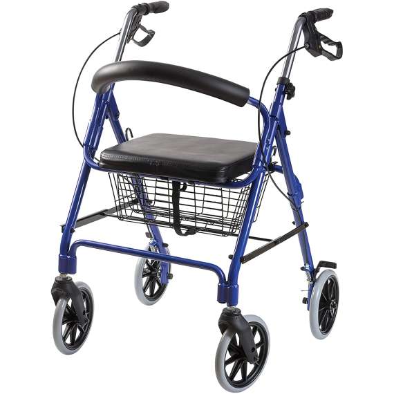 Buy Dayang DY49146 LightWeight Rollator in [storefront]