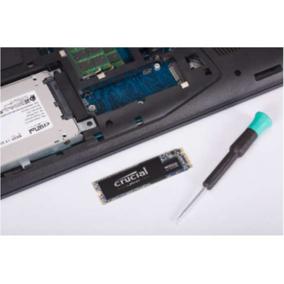 Buy Crucial Su800 1TB M.2 Type 2280 Internal SSD Hard Drive in [storefront]